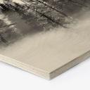 Hexagon Hout Xu - Foggy Forest