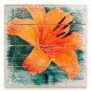 Cuadro de madera Lirio tropical - 40x41,5 cm