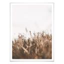 Plakat - Annie - Meadow Grass