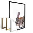 Affiche - lapin