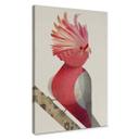 Lienzo marrón - Cacatúa rosa