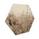 Hexagone - Bois Annie - Herbes