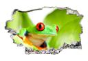 3D Wallsticker med poppende frø