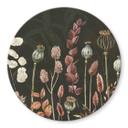 Tableau sur verre Sir Edward - Fleurs séchées Olive