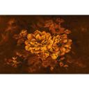 Architects Paper Papier peint photo Atelier 47 Flowers Art fleurs