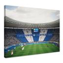 Canvasbillede Hertha BSC - Blå og hvid koreografi på det olympiske stadion