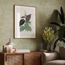 Plakat Illustration af blade - Bignonia Argyro Violascea