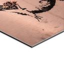 Geborsteld Alu-Dibond met goud-, zilver- & kopereffect - De Bloemenwerper - Banksy