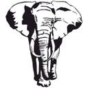 Afrikansk elefant