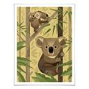 Póster Marrón - Koala