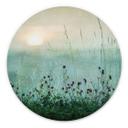 Vægcirkel Kværnstrøm - Dew-covered sunrise – print på aluminium (Alu-Dibond)