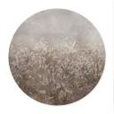 Poster Pampas Gras en Grassen in Beige - Ms Tiff - Rond