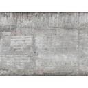 non-woven tapet ConcreteWall Moderne fototapet Designwalls i grå og brun 