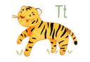 Sticker mural Loske - T comme Tigre