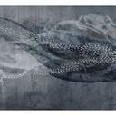 Guido Maria Kretschmer Fotobehang Art Edition Deep Sea Silver
