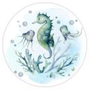 Sticker mural Kvilis - Hippocampe et méduses - Rond