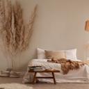 Pampasgræs tapet beige natur 3,75 x 2,50 m - Ikke-vævet tapet boho stil moderne