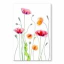 Akrylbillede Disher - Colourful Poppies
