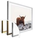 Plakat van den Helm - Highlander