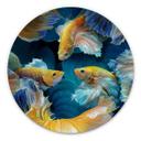 Tableau sur alu-Dibond rond Egger - Poisson coloré