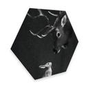 Hexagone -Alu Dibond Graves - Cerf et lapin
