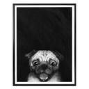 Póster Graves - Snuggle Pug