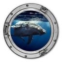 Tableau en alu-Dibond hublot effet 3D - Baleine - Rond