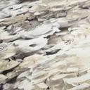A.S. Création Trendwall 2 - Papier peint intissé fleuris, gris