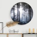 Tableau en alu-Dibond Rayons de soleil dans la forêt bleue - Rond