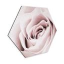 Hexagone - Alu-Dibond 1X Studio - Rose Noble
