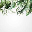 WatercolorLea1 plantetapet i grågrøn - non-woven tapet Designwalls 2 - 2,55 x 3,5 m