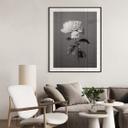 Póster 1X Studio - Peonía en blanco y negro