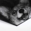 Hexagone - Alu-Dibond Graves - Sausage Fox Corgi