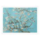Póster van Gogh - Almendros en flor