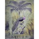 Livingwalls papier peint photo ARTist Peacock Jungle avec Jungle et paons vert, violet, gris