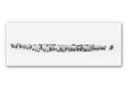 Tableau Forex - Troupeau de moutons - Panorama
