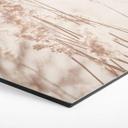 Hexagone - Tableau en alu-Dibond Graminées au soleil