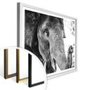 Póster Elefante indio