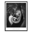 Plakat - Elefantbaby - Keep me safe
