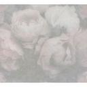 Papel pintado tejido-no tejido Livingwalls New Walls Papel pintado floral Romantic Dream con rosas gris, rosa, blanco