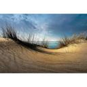 Papier peint photo Schuurmans - Dunes de plage - 384x260 cm
