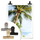 Póster - Palmeras 07