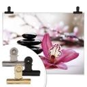 Orquídea de póster