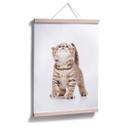 Póster gatito curioso
