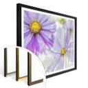 Póster Disher - Flores congeladas
