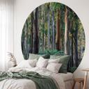 Eucalyptusbos in de Yarra Ranges | Bosbehang - Colombo - Rond - vliesbehang/zelfklevend vliesbehang