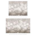 Bloemen behang Fotobehang paardenbloemen droom in beige - Ms Tiff