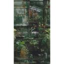 Drivhus tapet planter vintage grøn - Ikke-vævet tapet botanisk udvidelig