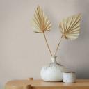 Ikke-vævet tapet i betonlook almindeligt moderne mat i beige 