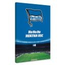 Lienzo Hertha BSC - HaHoHe